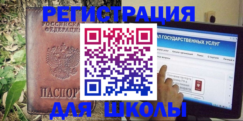 прописка для школы в Щиграх